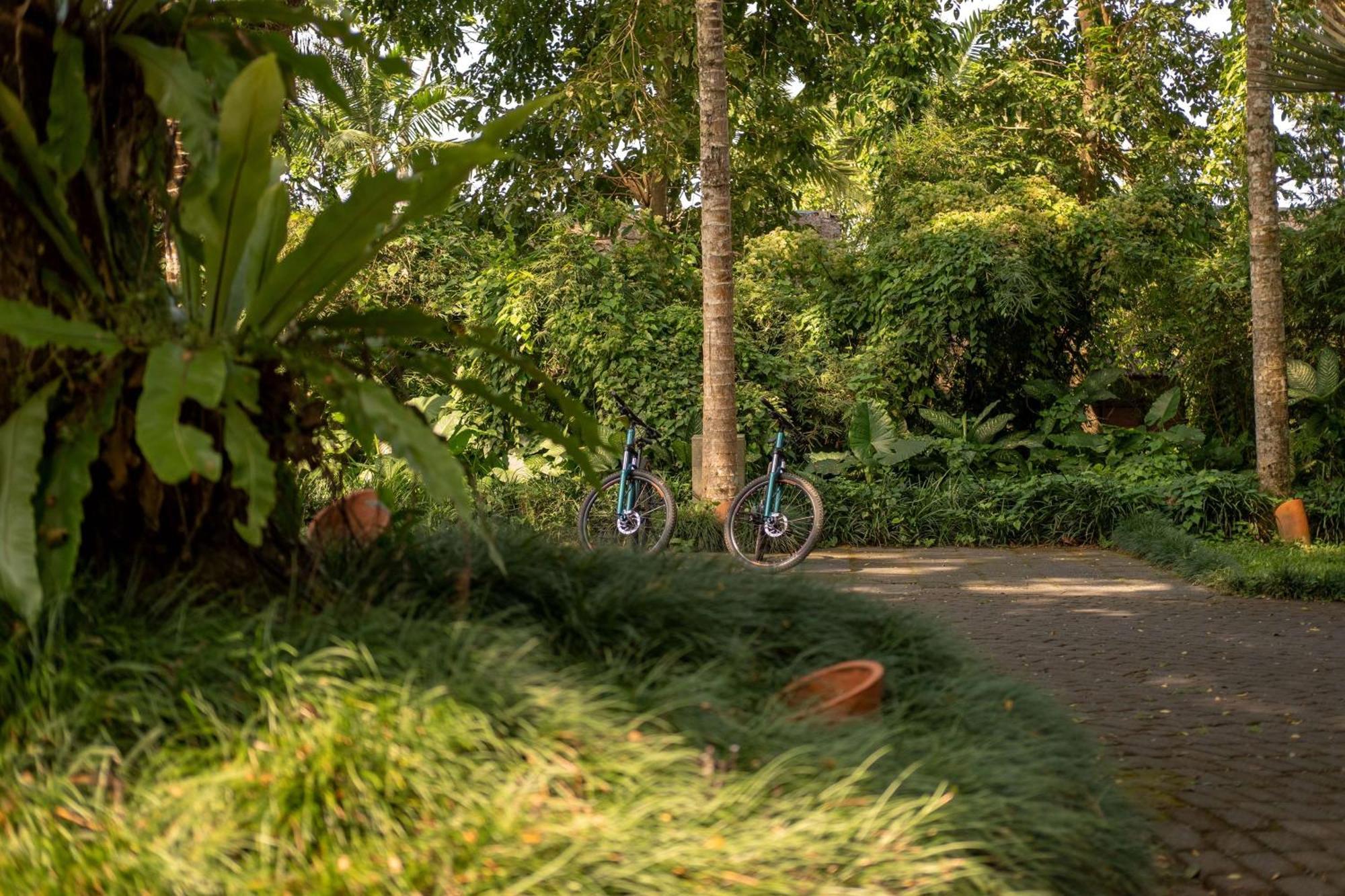 Alila Ubud Payangan Exterior foto