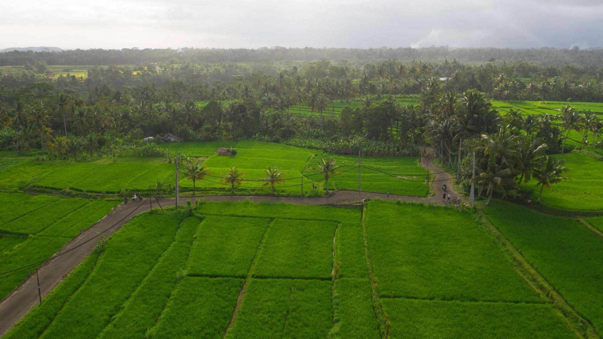 Alila Ubud Payangan Exterior foto