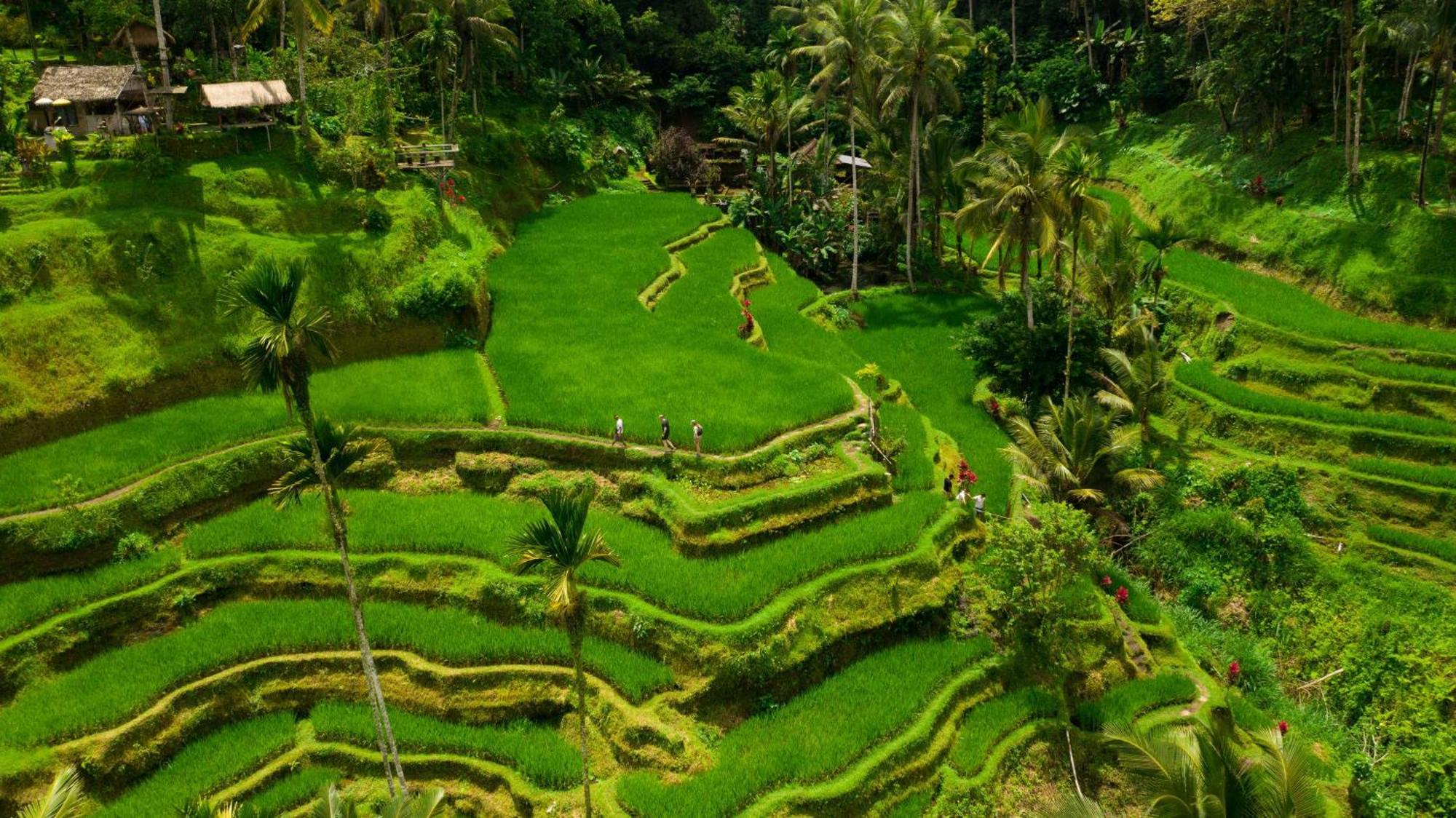 Alila Ubud Payangan Exterior foto